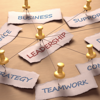 Yeni Çağın Lideri Fasilitasyonu